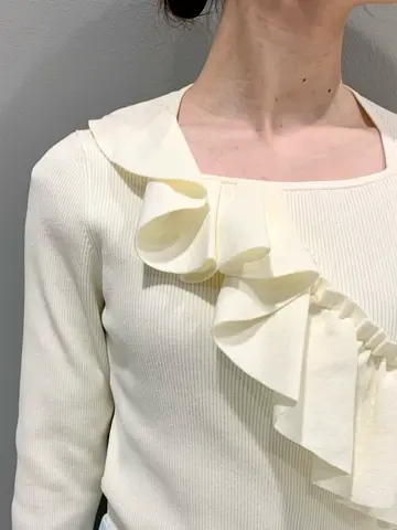 GRACE CONTINENTAL The Banquet eri コーディネート画像