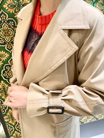 GRACE CONTINENTAL The Banquet Aya. コーディネート画像