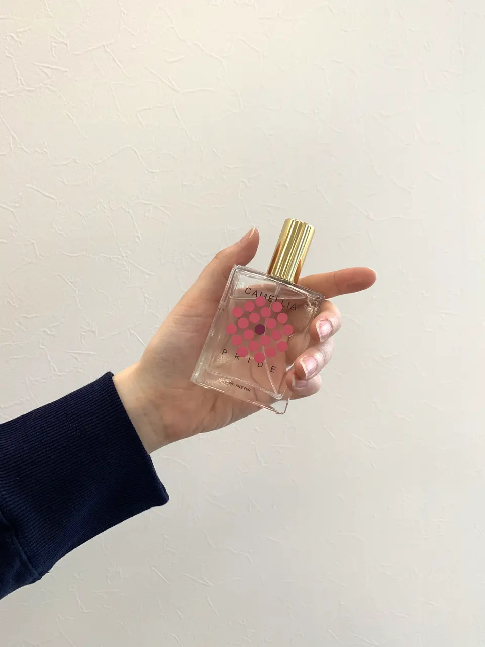 ANEVER 小倉 コーディネート画像