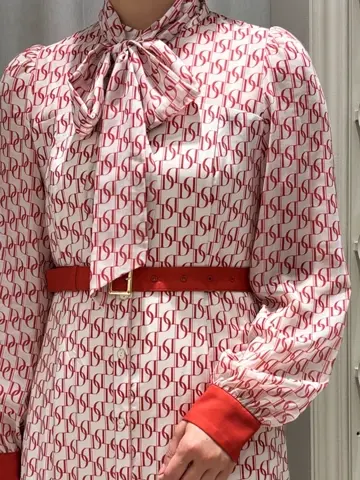 Diagram 矢野　瑞佳 コーディネート画像